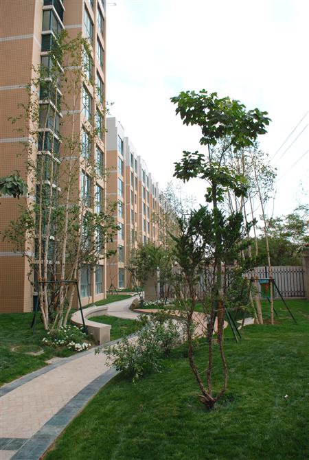 亞太嘉園二期局部景觀(guān)雛形鑒賞（親景實(shí)拍）